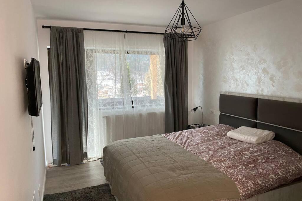 Casa Skadi, Zamora,Buşteni Extérieur photo