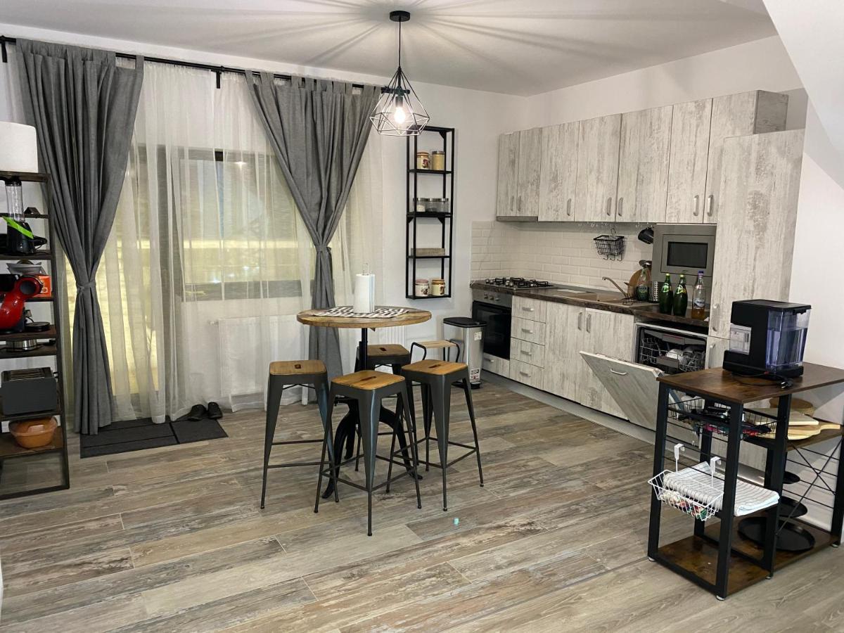 Casa Skadi, Zamora,Buşteni Extérieur photo