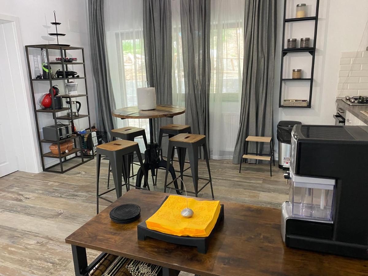 Casa Skadi, Zamora,Buşteni Extérieur photo